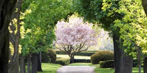 Shalom Memorial Park Country Lane